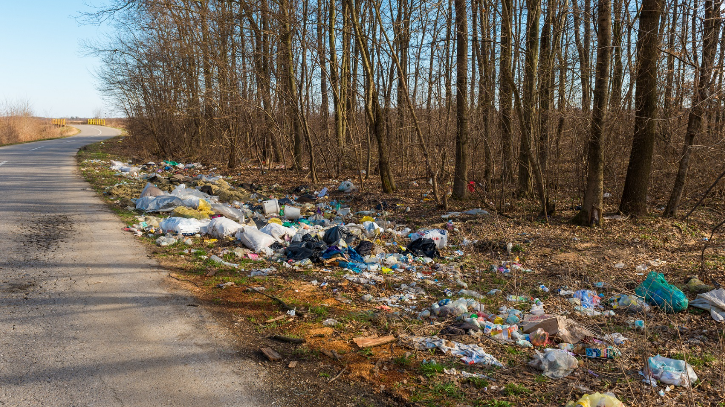 Roadside litter